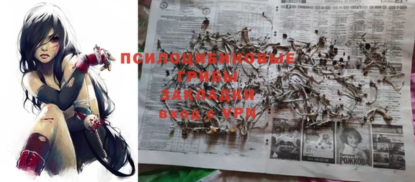 дурь Касимов