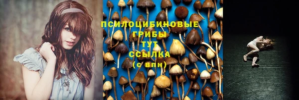 дурь Касимов